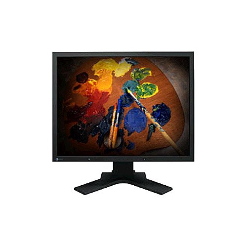 Eizo S2100-BK 21.3" 1600 x 1200 Monitor