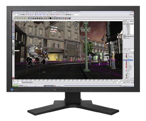 Eizo SX2462W-BK 24.1" 1920 x 1200 Monitor