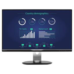 Philips 258B6QUEB 25.0" 2560 x 1440 60 Hz Monitor