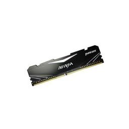 Panram Ninja 8 GB (1 x 8 GB) DDR3-1600 CL10 Memory