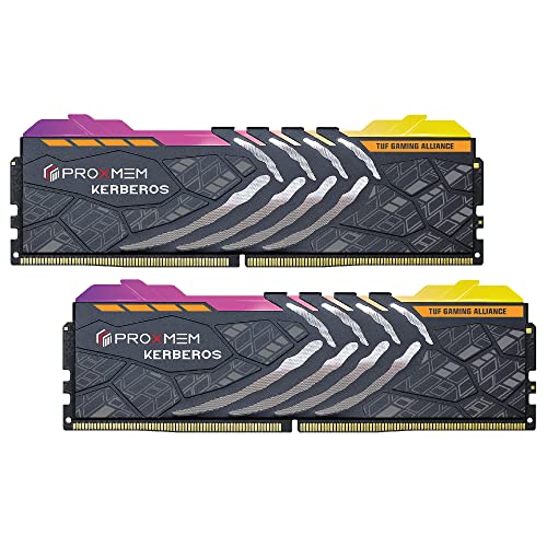 PROXMEM KERBEROS TUF 32 GB (2 x 16 GB) DDR5-5600 CL28 Memory