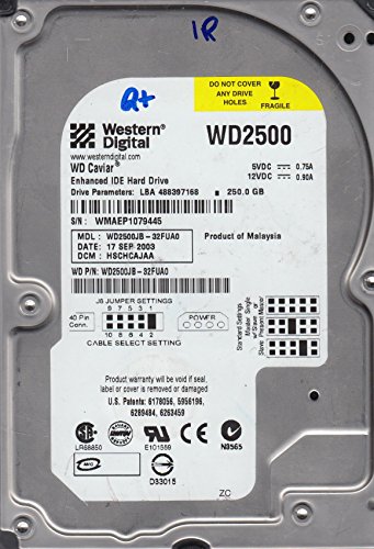 Western Digital Caviar SE 250 GB 3.5" 7200 RPM Internal Hard Drive