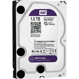 Western Digital Purple 1 TB 3.5" 5900 RPM Internal Hard Drive