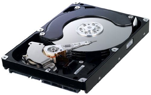 Samsung Spinpoint F1 DT 750 GB 3.5" 7200 RPM Internal Hard Drive