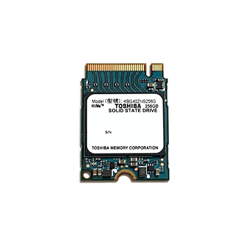 KIOXIA BG4 256 GB M.2-2230 PCIe 3.0 X4 NVME Solid State Drive